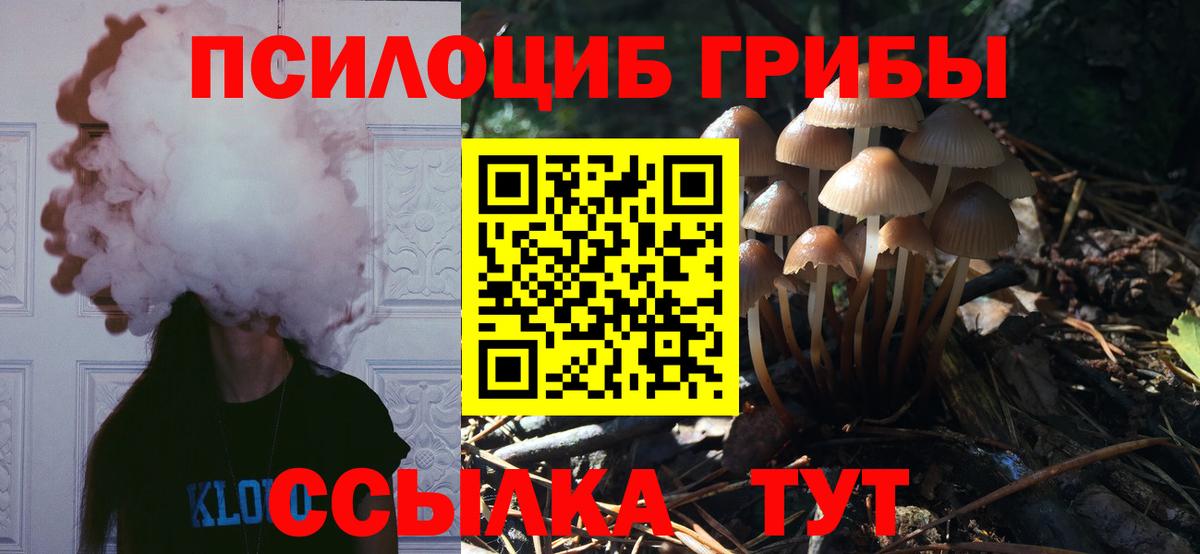 Псилоцибиновые грибы мухоморы Удомля